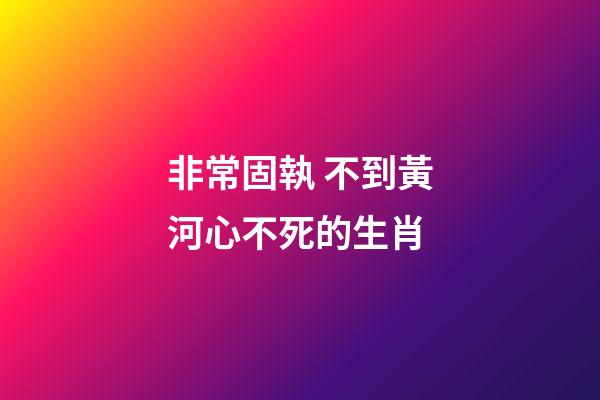 非常固執 不到黃河心不死的生肖